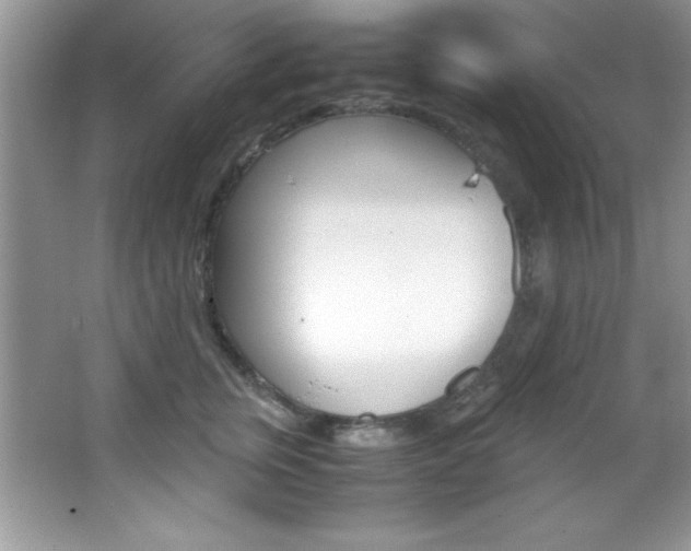 X0000067950759200604131202