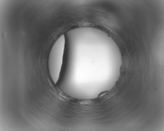 X0000067950761200604131202