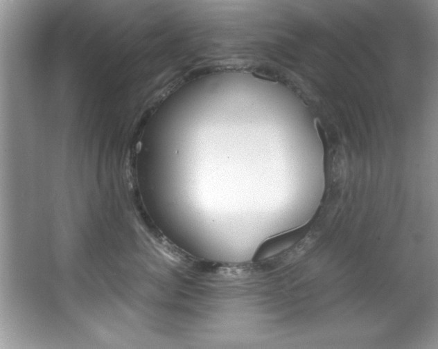 X0000067950764200604131202