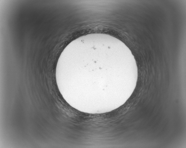 X0000067950769200604131202