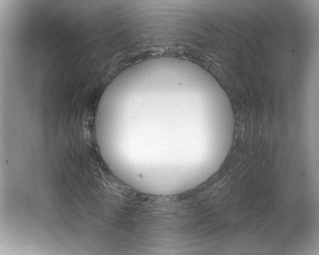 X0000067950770200604131202