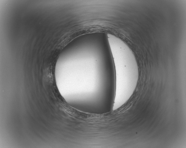X0000067950771200604131202