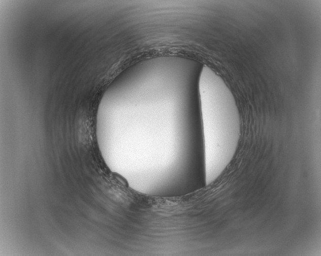 X0000067950772200604131202