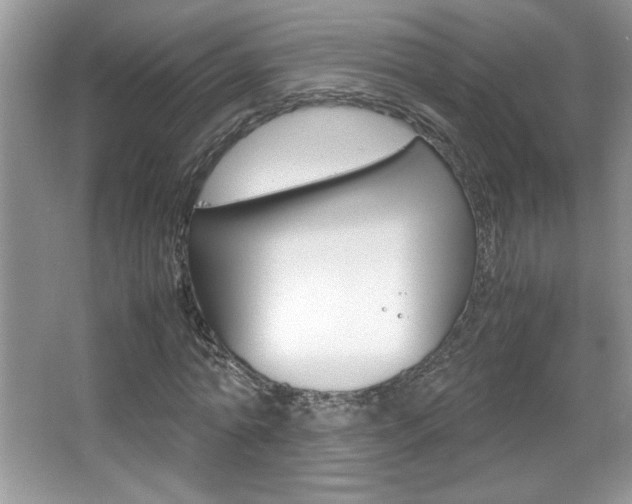 X0000067950774200604131202