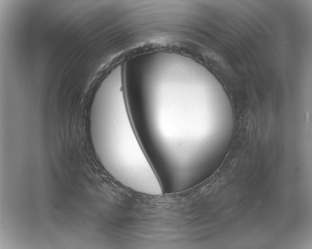 X0000067950776200604131202