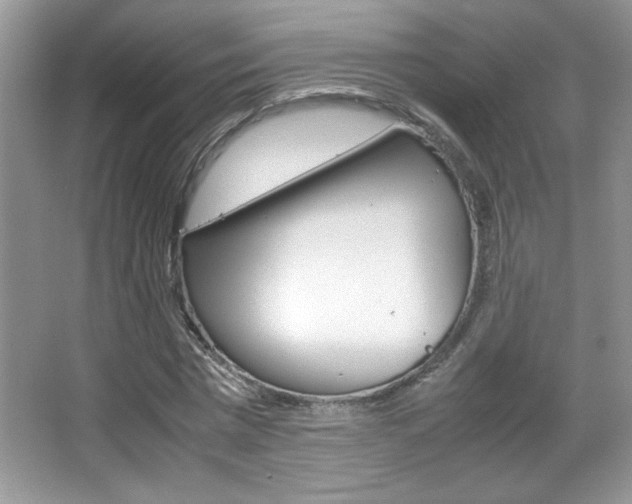 X0000067950777200604131202