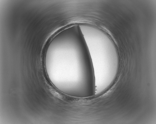 X0000067950779200604131202