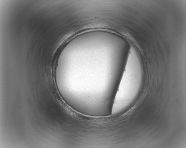 X0000067950781200604131202