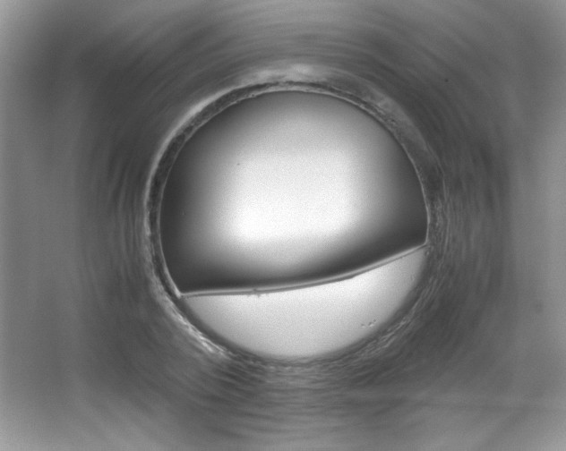 X0000067950784200604131201