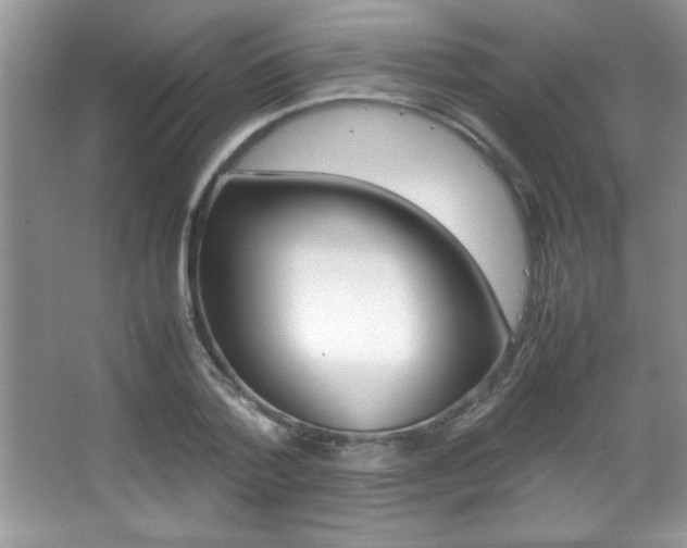 X0000067950788200604131201