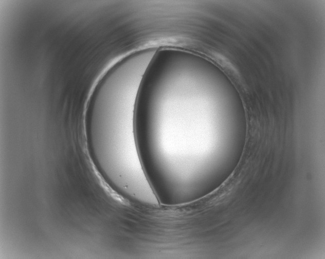 X0000067950792200604131201