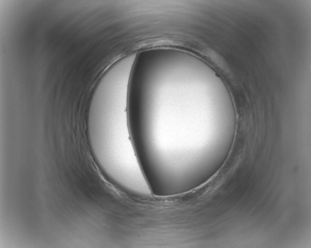 X0000067950793200604131201