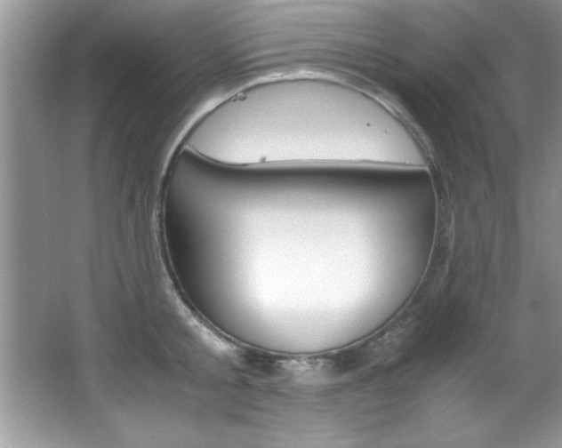 X0000067950805200604131201
