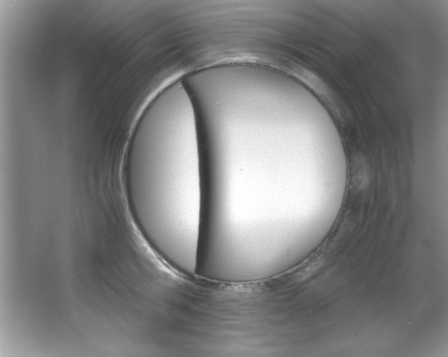 X0000067950806200604131201