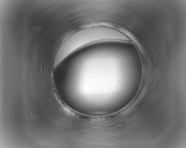 X0000067950809200604131201