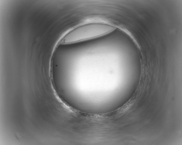 X0000067950815200604131201