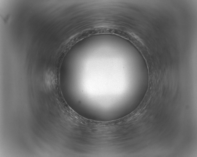 X0000067950821200604131200