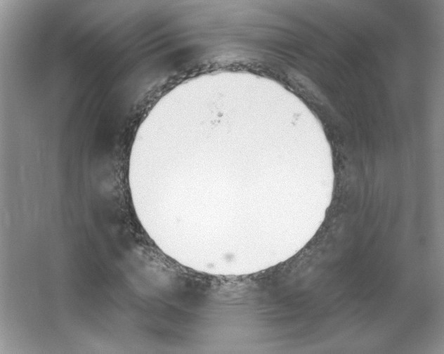 X0000067950824200604131200