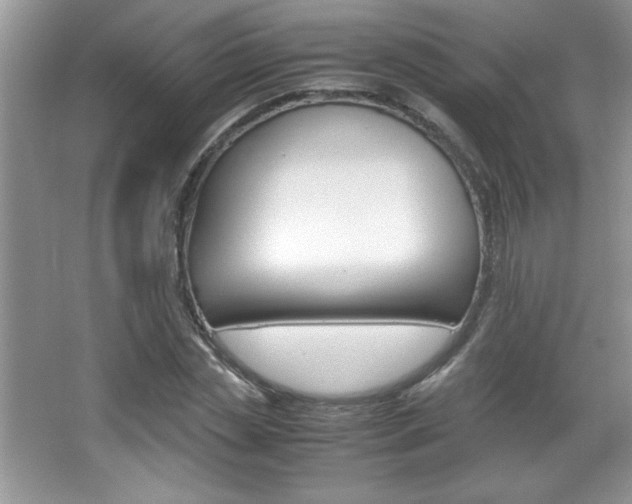 X0000067950829200604131200