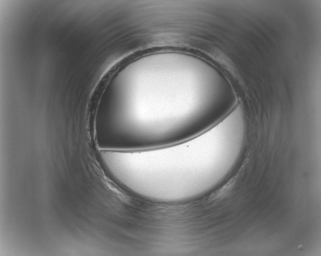 X0000067950830200604131200