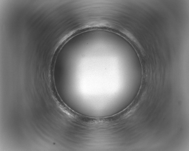 X0000067950834200604131200