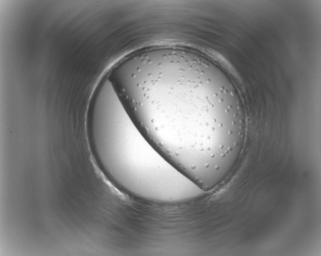 X0000067950839200604131201