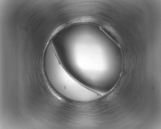 X0000067950850200604131201