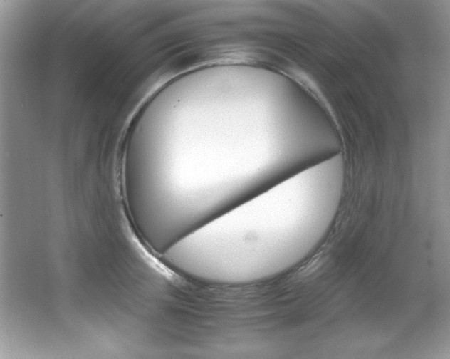 X0000067950851200604131201
