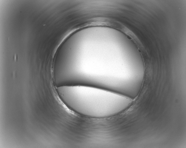 X0000067950852200604131201