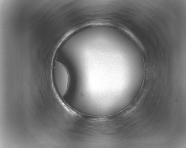 X0000067950853200604131201