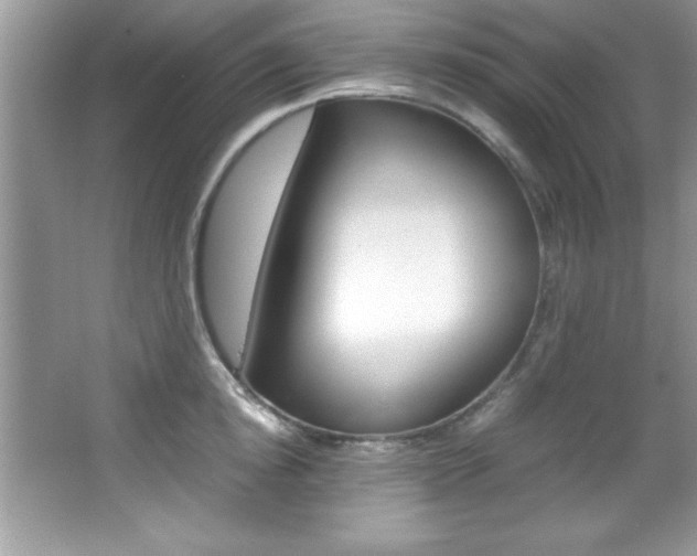 X0000067950854200604131201