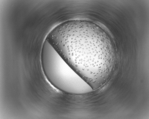 X0000067950855200604131201