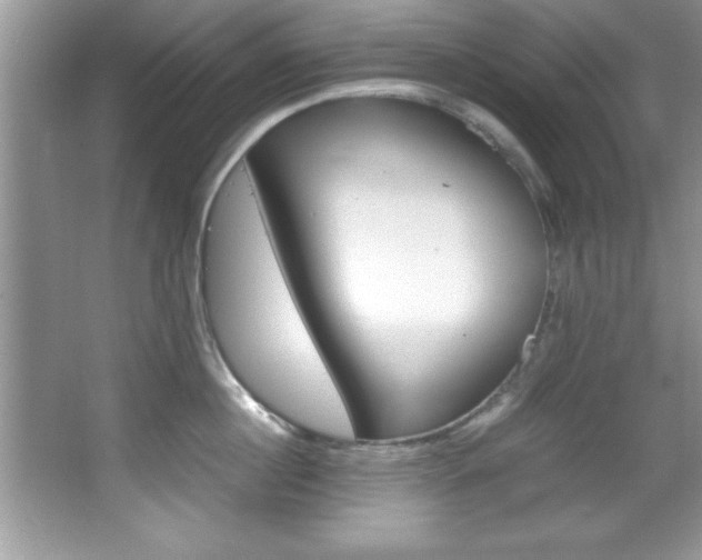 X0000067950860200604131201