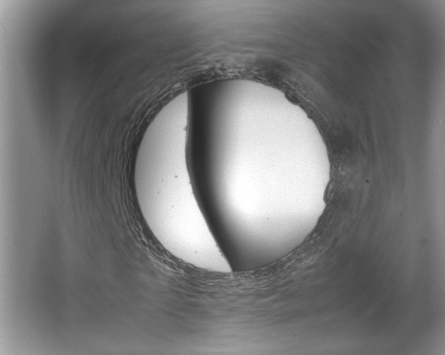 X0000067950865200604131200