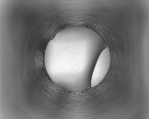 X0000067950866200604131200