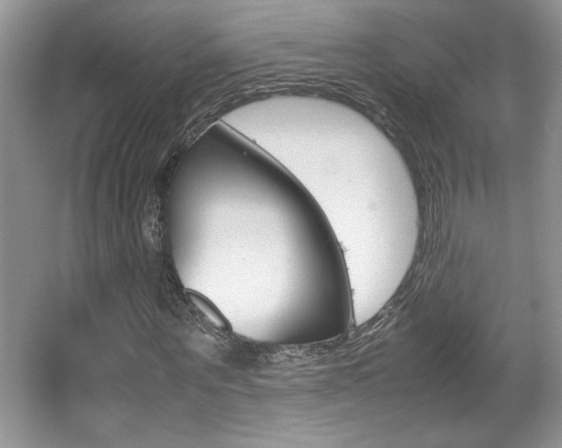 X0000067950867200604131200