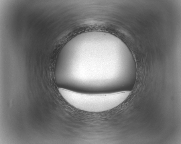 X0000067950869200604131200