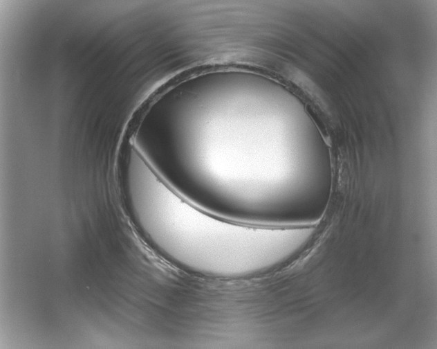 X0000067950876200604131200