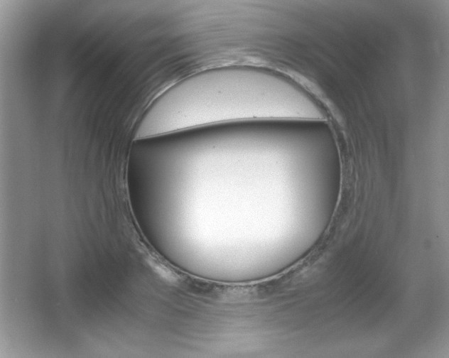 X0000067950889200604131200