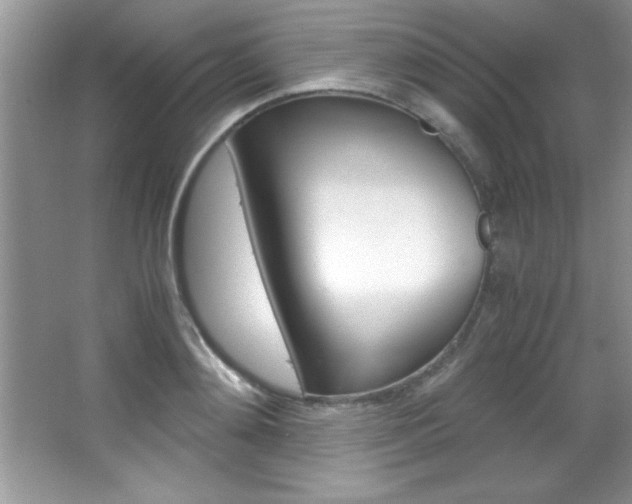 X0000067950892200604131200