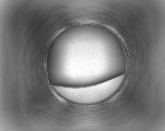 X0000067950897200604131200