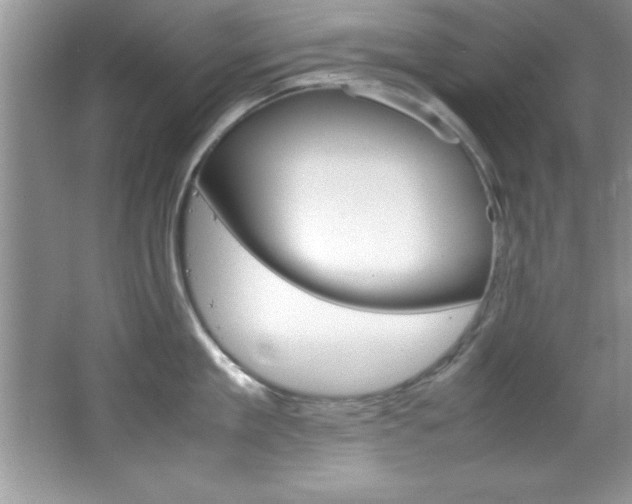 X0000067950909200604131159
