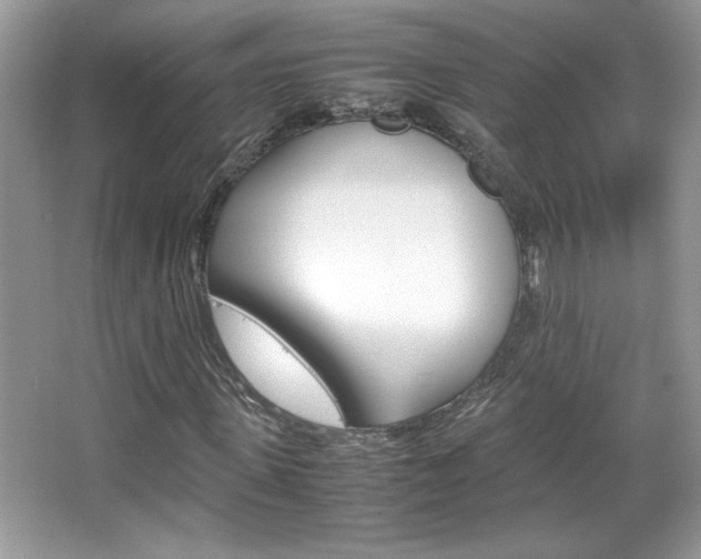 X0000067950915200604131159