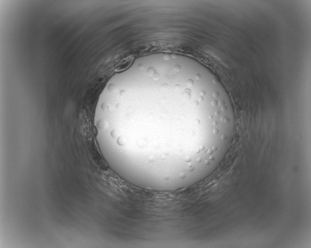 X0000067950917200604131159