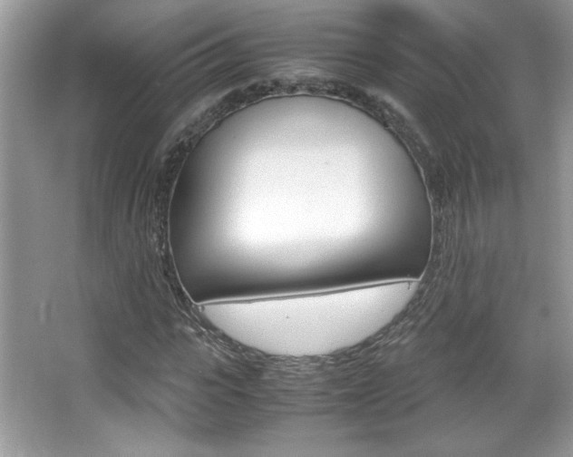 X0000067950919200604131159