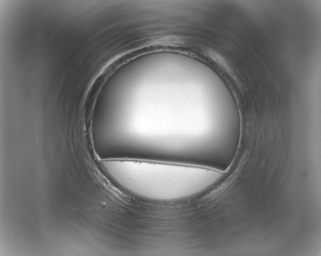 X0000067950923200604131159