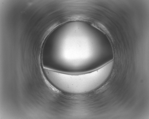 X0000067950946200604131159