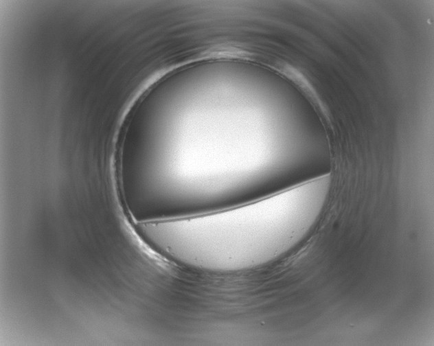 X0000067950947200604131159