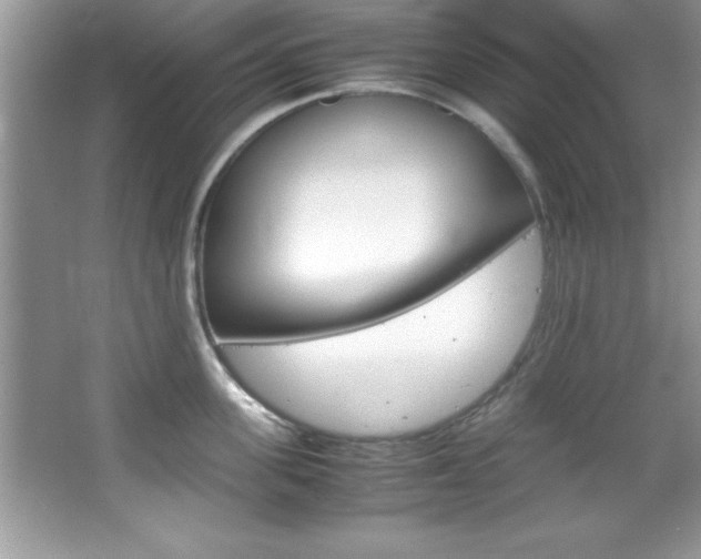 X0000067950955200604131159