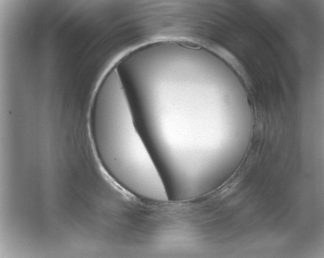 X0000067950958200604131159